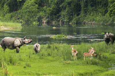 chitwan-jungle-safari