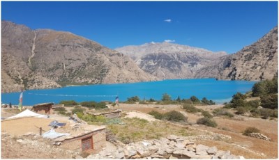 upperdolpa-mustang